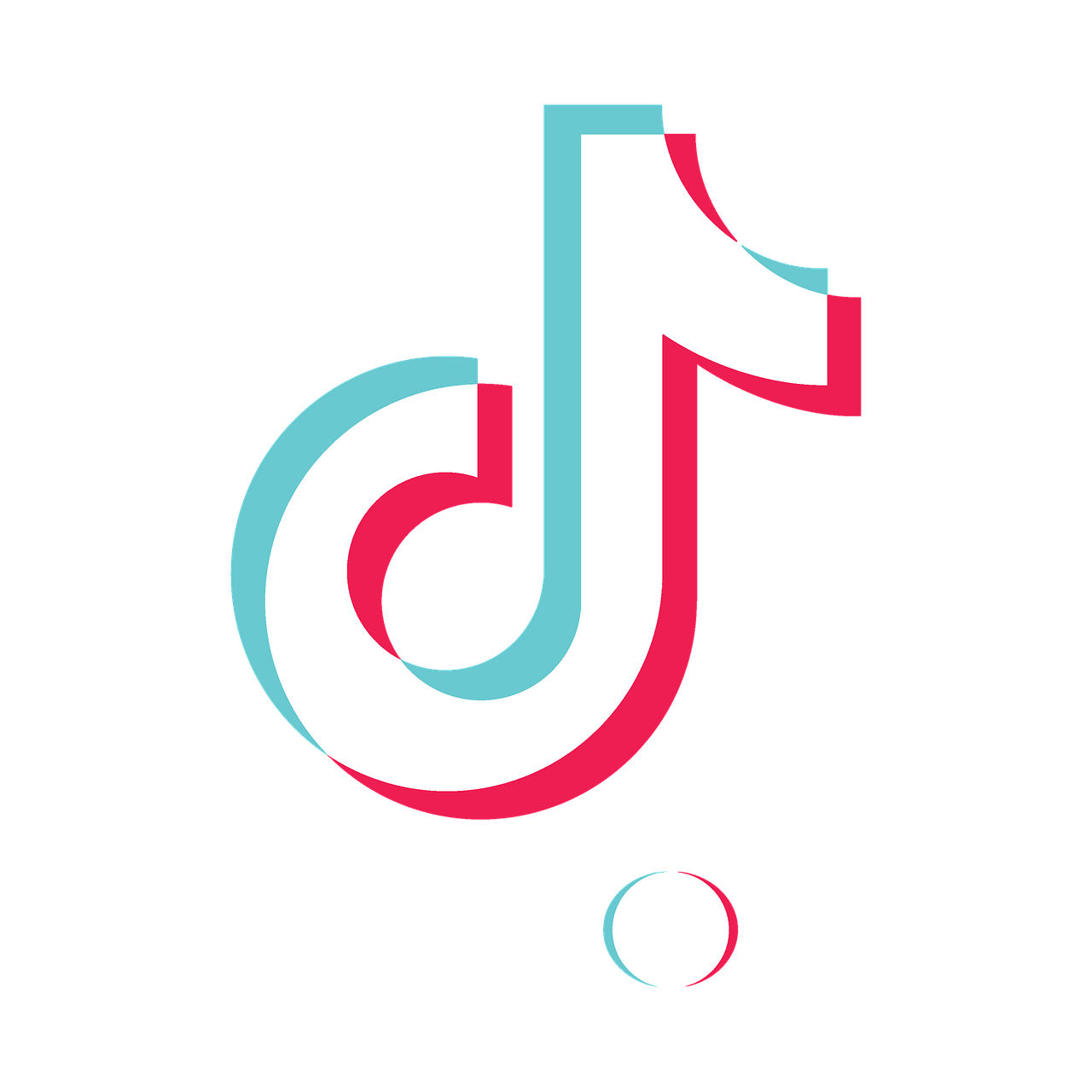 TikTok de BEARGG